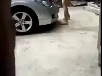 Напълно естествената пума изсмуква два лесбийски клипове дебели петли