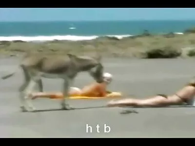 Малката порно клипове видео руса мадама се унищожава от този голям човек